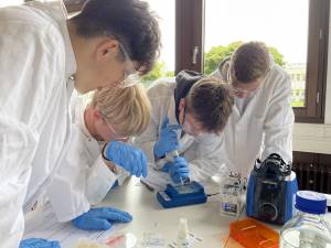 Schüler bei der Laborarbeit