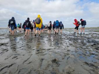 Im Watt im Zuge des Schullandheims auf Amrum (Kl. 6)